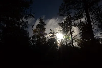 DSC_6249 (Large).JPG